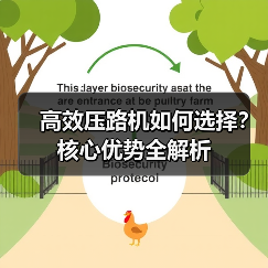 高效压路机如何选择?核心优势全解析(图1) 高效压路机如何选择?核心优势全解析(图1)