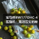 宝马格BW177DHC-4压路机:高效压实的秘密武器?(图3) 宝马格BW177DHC-4压路机:高效压实的秘密武器?(图3)
