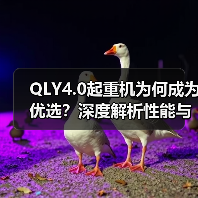 QLY4.0起重机为何成为优选?深度解析性能与优势(图3) QLY4.0起重机为何成为优选?深度解析性能与优势(图3)