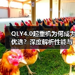 QLY4.0起重机为何成为优选?深度解析性能与优势(图4) QLY4.0起重机为何成为优选?深度解析性能与优势(图4)