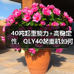 40吨起重能力+高稳定性，QLY40起重机如何保障工程安全？（图4）