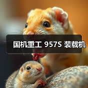 国机重工 957S 装载机(图4) 国机重工 957S 装载机(图4)