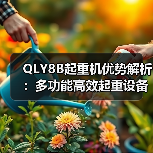 QLY8B起重机优势解析:多功能高效起重设备(图3) QLY8B起重机优势解析:多功能高效起重设备(图3)