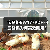 宝马格BW177PDH-4压路机为何高效耐用?核心优势解析(图1) 宝马格BW177PDH-4压路机为何高效耐用?核心优势解析(图1)