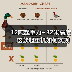 12吨起重力+32米高度,这款起重机如何实现稳定作业?(图2) 12吨起重力+32米高度,这款起重机如何实现稳定作业?(图2)