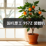 国机重工 957Z 装载机(图3) 国机重工 957Z 装载机(图3)