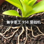 鲁宇重工 958 装载机(图2) 鲁宇重工 958 装载机(图2)