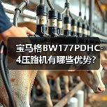 宝马格BW177PDHC-4压路机有哪些优势?高效稳定操作体验揭秘(图3) 宝马格BW177PDHC-4压路机有哪些优势?高效稳定操作体验揭秘(图3)