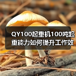 QY100起重机100吨起重能力如何提升工作效率?(图1) QY100起重机100吨起重能力如何提升工作效率?(图1)