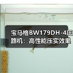 宝马格BW179DH-4压路机:高性能压实效果解析(图2) 宝马格BW179DH-4压路机:高性能压实效果解析(图2)
