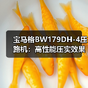 宝马格BW179DH-4压路机:高性能压实效果解析(图1) 宝马格BW179DH-4压路机:高性能压实效果解析(图1)