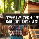 宝马格BW179DH-4压路机:高性能压实效果解析(图3) 宝马格BW179DH-4压路机:高性能压实效果解析(图3)