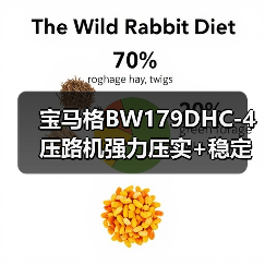宝马格BW179DHC-4压路机强力压实+稳定性强,为何成为工程首选?(图3) 宝马格BW179DHC-4压路机强力压实+稳定性强,为何成为工程首选?(图3)