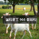 国机重工 966 装载机(图2) 国机重工 966 装载机(图2)