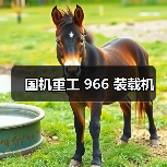 国机重工 966 装载机(图4) 国机重工 966 装载机(图4)