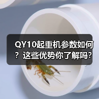 QY10起重机参数如何?这些优势你了解吗?(图1) QY10起重机参数如何?这些优势你了解吗?(图1)