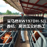 宝马格BW197DH-5压路机:高效压实的施工神器(图1) 宝马格BW197DH-5压路机:高效压实的施工神器(图1)