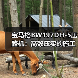 宝马格BW197DH-5压路机:高效压实的施工神器(图2) 宝马格BW197DH-5压路机:高效压实的施工神器(图2)