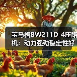 宝马格BW211D-4压路机:动力强劲稳定性好压实效果卓越(图4) 宝马格BW211D-4压路机:动力强劲稳定性好压实效果卓越(图4)