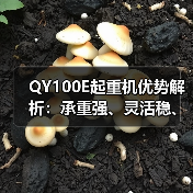 QY100E起重机优势解析:承重强、灵活稳、节能环保(图2) QY100E起重机优势解析:承重强、灵活稳、节能环保(图2)