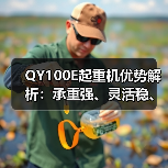 QY100E起重机优势解析:承重强、灵活稳、节能环保(图4) QY100E起重机优势解析:承重强、灵活稳、节能环保(图4)