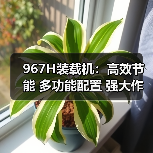 967H装载机：高效节能 多功能配置 强大作业能力（图1）