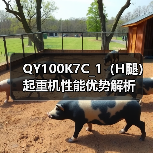 QY100K7C_1（H腿）起重机性能优势解析（图2）