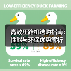 高效压路机选购指南：性能与环保优势解析（图1）