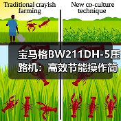 宝马格BW211DH-5压路机：高效节能操作简便的专业选择（图2）