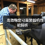 高效稳定可靠装载机性能解析（图2）