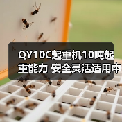 QY10C起重机10吨起重能力 安全灵活适用中小型工地（图3）
