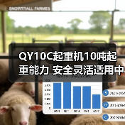 QY10C起重机10吨起重能力 安全灵活适用中小型工地（图2）