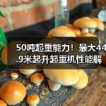 50吨起重能力!最大44.9米起升起重机性能解析(图2) 50吨起重能力!最大44.9米起升起重机性能解析(图2)