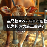 宝马格BW212D-5压路机为何成为施工首选?(图4) 宝马格BW212D-5压路机为何成为施工首选?(图4)