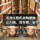 高效压路机选购指南:动力强、效率高、安全可靠(图3) 高效压路机选购指南:动力强、效率高、安全可靠(图3)