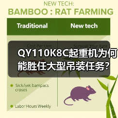 QY110K8C起重机为何能胜任大型吊装任务?(图1) QY110K8C起重机为何能胜任大型吊装任务?(图1)