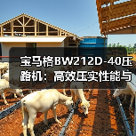 宝马格BW212D-40压路机:高效压实性能与可靠性解析(图2) 宝马格BW212D-40压路机:高效压实性能与可靠性解析(图2)