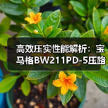 高效压实性能解析:宝马格BW211PD-5压路机优势(图1) 高效压实性能解析:宝马格BW211PD-5压路机优势(图1)