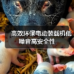 高效环保电动装载机低噪音高安全性(图1) 高效环保电动装载机低噪音高安全性(图1)