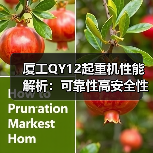 厦工QY12起重机性能解析：可靠性高安全性强维护便捷全解析（图1）