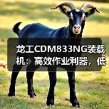 龙工CDM833NG装载机：高效作业利器，低能耗高耐用性如何实现？（图2）
