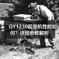 QY1230起重机性能如何？详细参数解析（图1）
