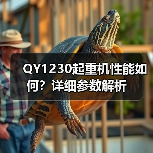 QY1230起重机性能如何？详细参数解析（图2）