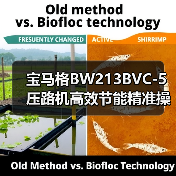 宝马格BW213BVC-5压路机高效节能精准操控解析（图1）