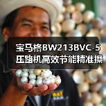 宝马格BW213BVC-5压路机高效节能精准操控解析（图2）
