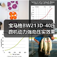 宝马格BW213D-40压路机动力强劲压实效果如何？（图3）