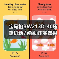 宝马格BW213D-40压路机动力强劲压实效果如何？（图4）