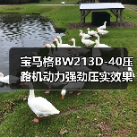 宝马格BW213D-40压路机动力强劲压实效果如何？（图2）