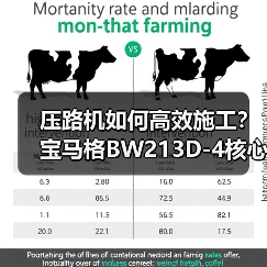压路机如何高效施工？宝马格BW213D-4核心优势解析（图4）