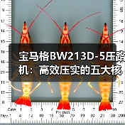 宝马格BW213D-5压路机：高效压实的五大核心优势（图2）